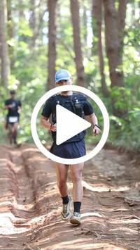 BIB:  <button type="button" onclick="openModal(26569638)" class="btn btn-primary btn-sm float-right" data-toggle="modal" data-target=".modal-high-quality">
                <i class="fa fa-download"></i> Download
                </button>